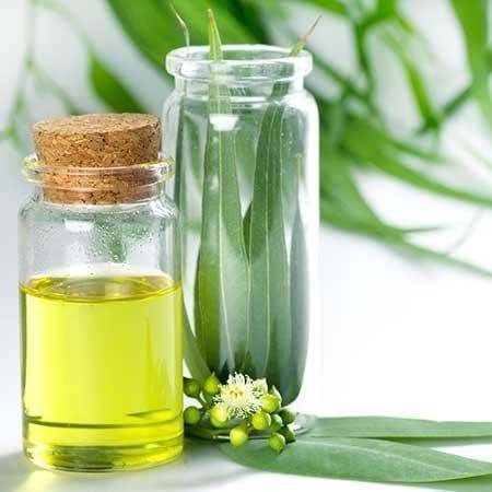Eucalyptol (1,8 Cineole)