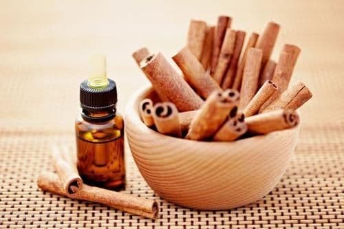 CASSIA OIL