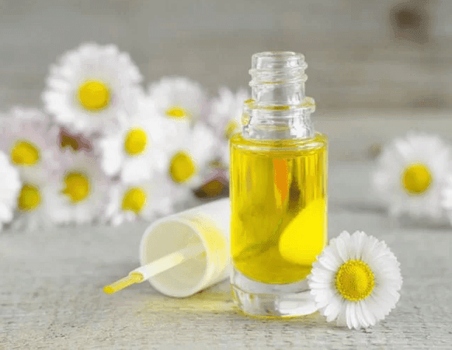 CHAMOMILE
