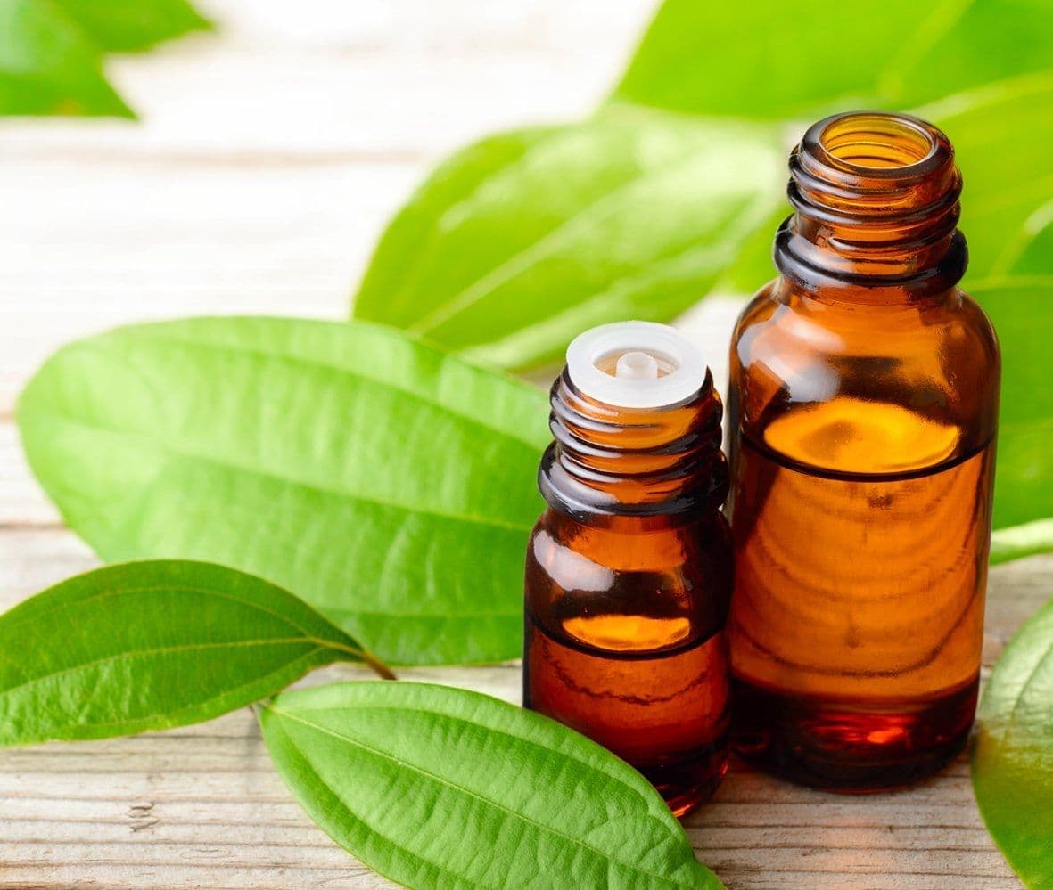 CINNAMON LEAF OIL