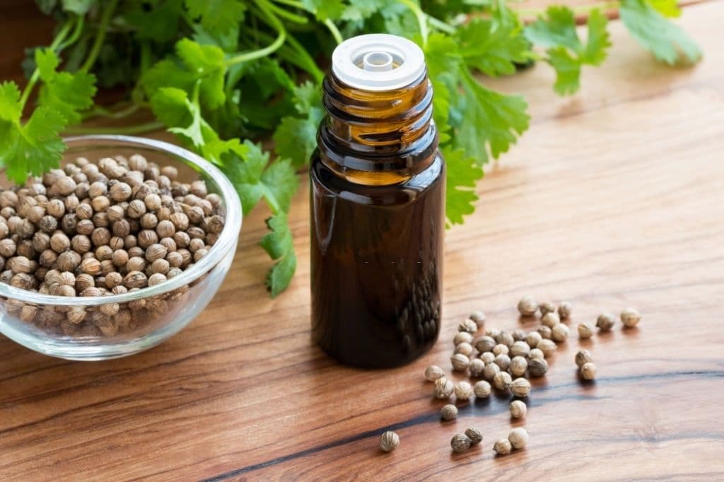 CORIANDER OIL