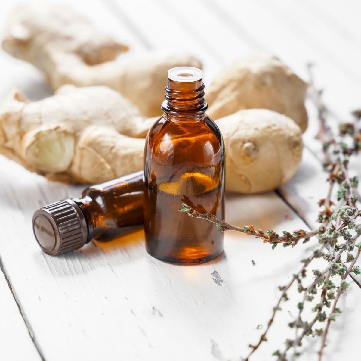 GINGER OIL