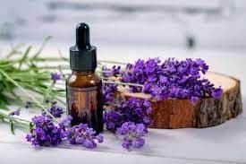 LAVENDER OIL