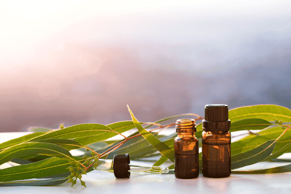 VETIVER OIL