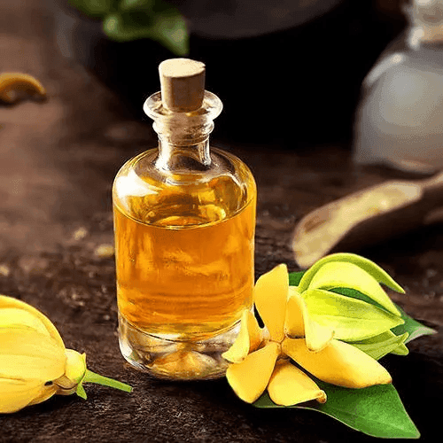 YLANG YLANG