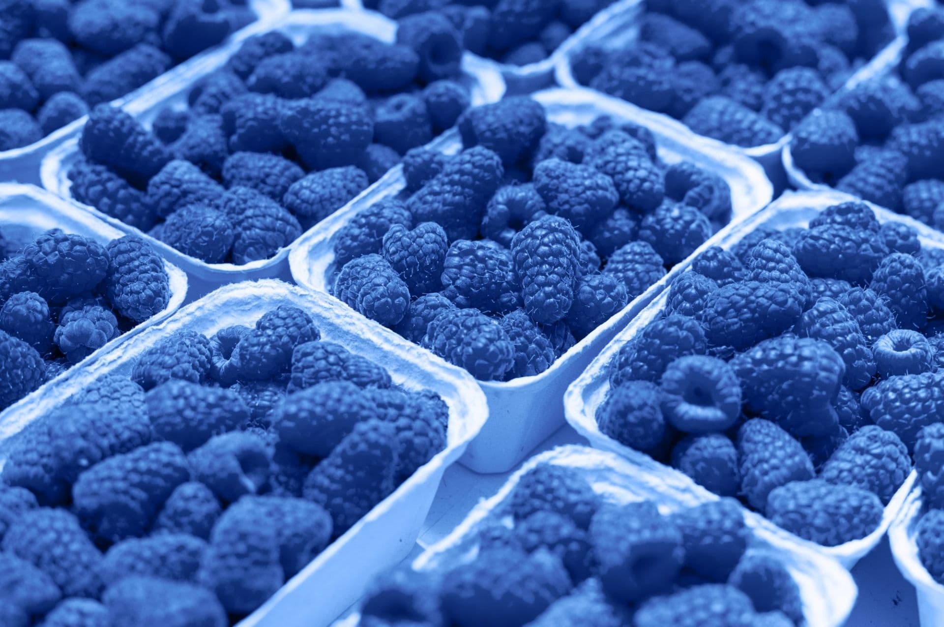 BLUE RASPBERRY