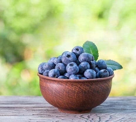 BLUEBERRY