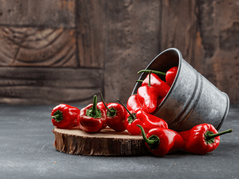 CHILLY FLAVOUR