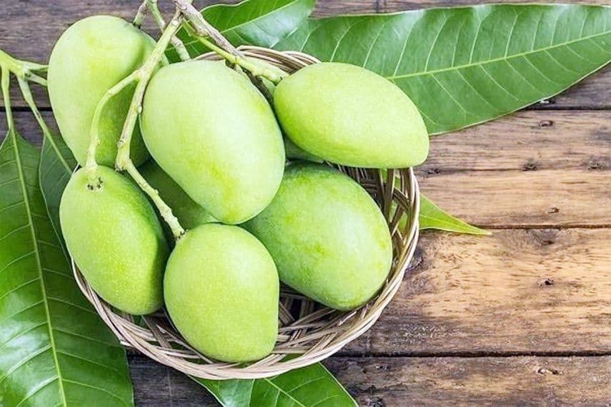 GREEN MANGO