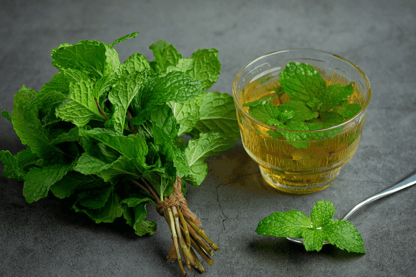 PEPPERMINT FLV